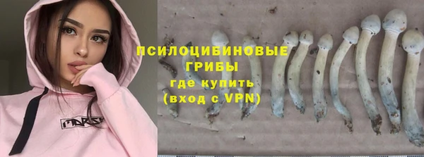 2c-b Алексин