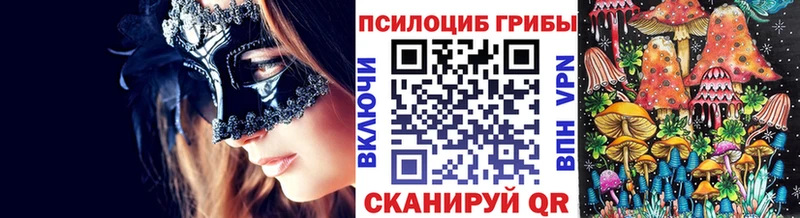гидра вход Сокол Псилоцибиновые грибы Cubensis